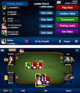 Texas Hold Em Poker Pro